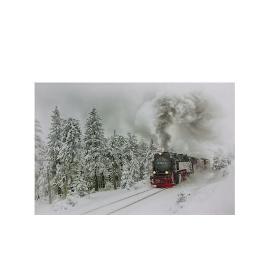 Winter Woods Train Fiber Optic &#x26; LED Lighted Canvas Wall Art